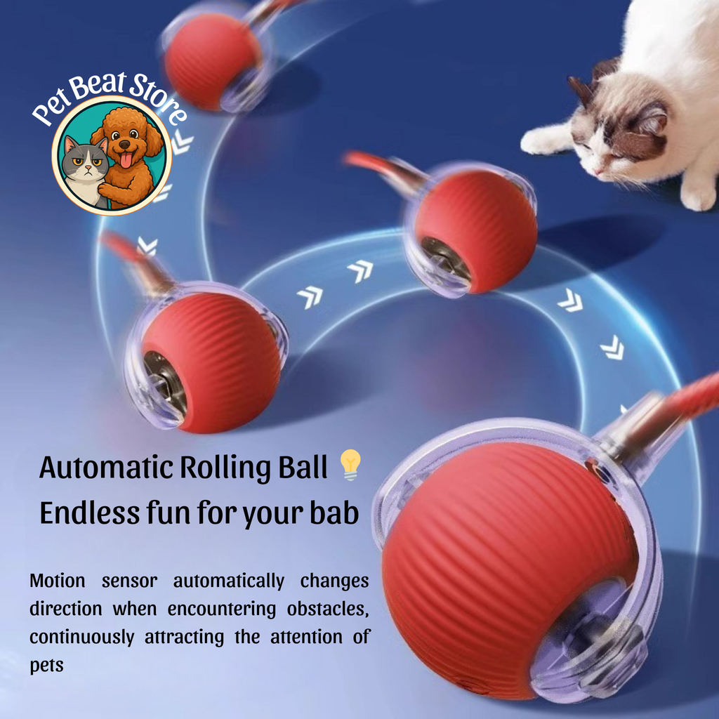 Automatic Rolling Ball for Cats & Dogs – Smart Rechargeable Toy with Tail, Pet-Safe & Great Gift, Flexible Shipping | PetBeat Store