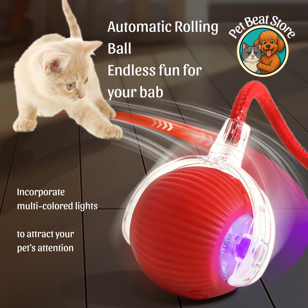 Automatic Rolling Ball for Cats & Dogs – Smart Rechargeable Toy with Tail, Pet-Safe & Great Gift, Flexible Shipping | PetBeat Store