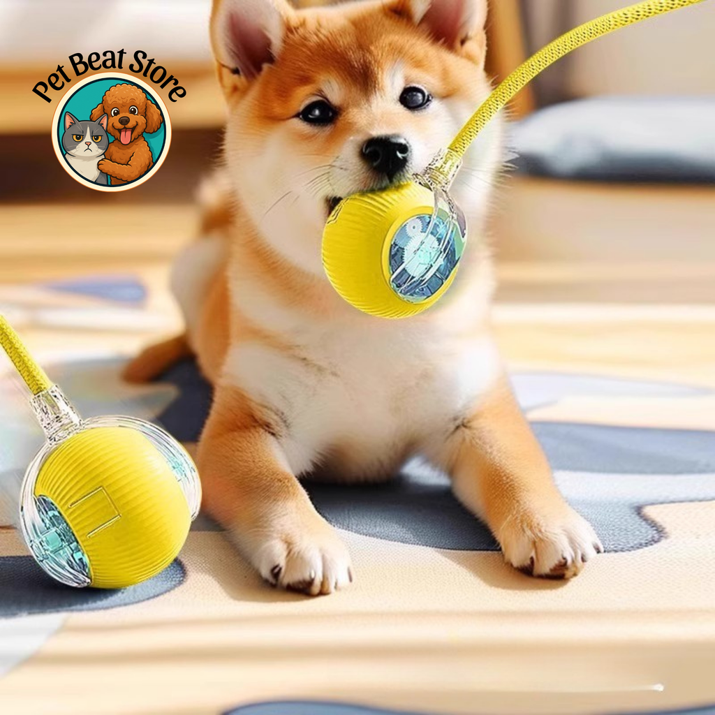 Automatic Rolling Ball for Cats & Dogs – Smart Rechargeable Toy with Tail, Pet-Safe & Great Gift, Flexible Shipping | PetBeat Store