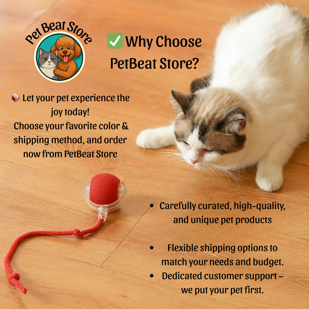 Automatic Rolling Ball for Cats & Dogs,Express Shipping (2–5 days) – Smart Rechargeable Toy with Tail, Pet-Safe & Great Gift, Flexible Shipping | PetBeat Store