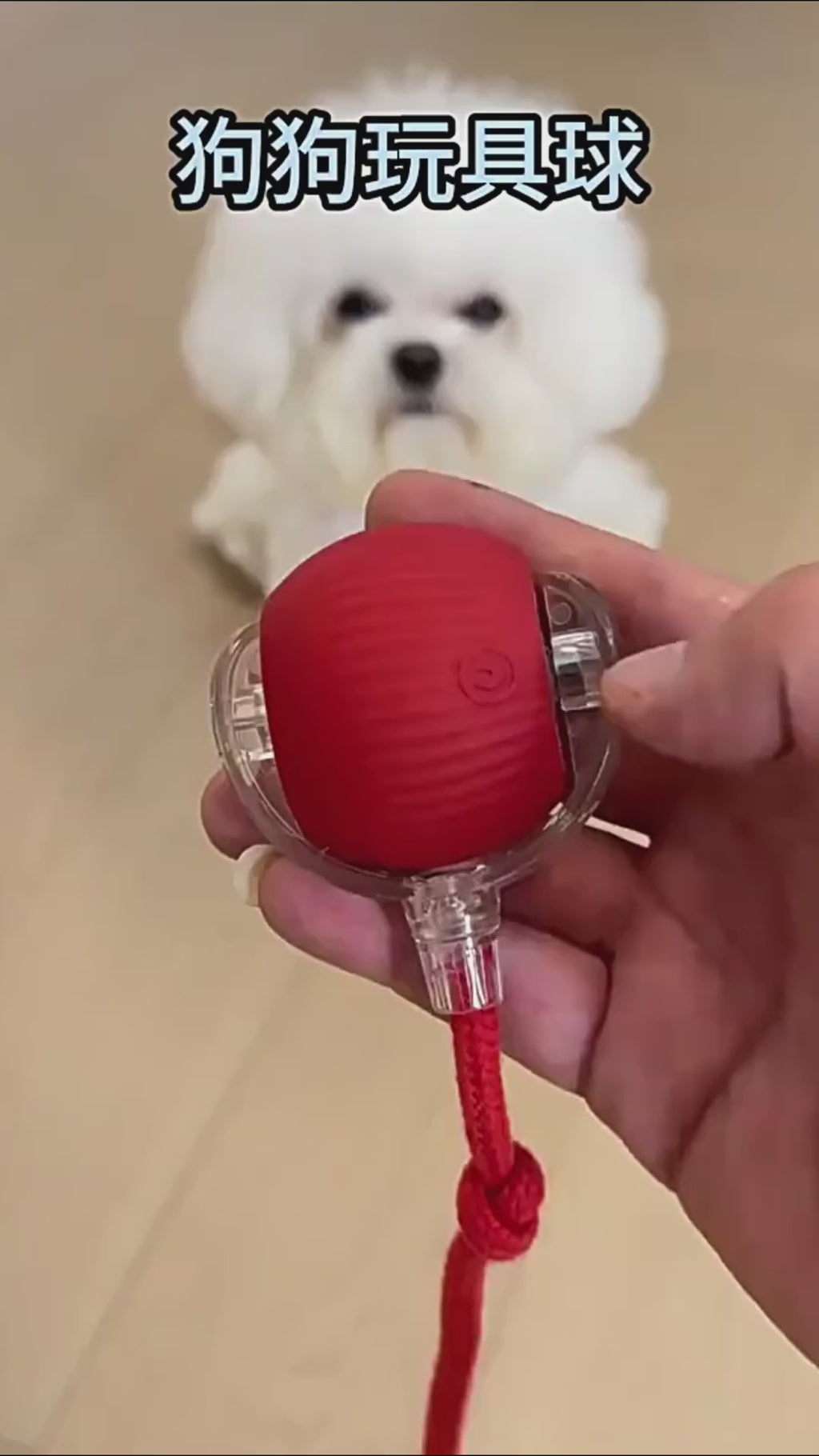 Automatic Rolling Ball for Cats & Dogs – Smart Rechargeable Toy with Tail, Pet-Safe & Great Gift, Flexible Shipping | PetBeat Store